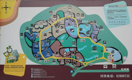 �Ϻ���(d��ng)��@��(d��o)�ΈD