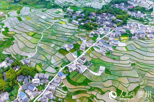 �����F��л�Ϫ�^(q��)��������������W(w��ng)ӛ�� Ϳ���z