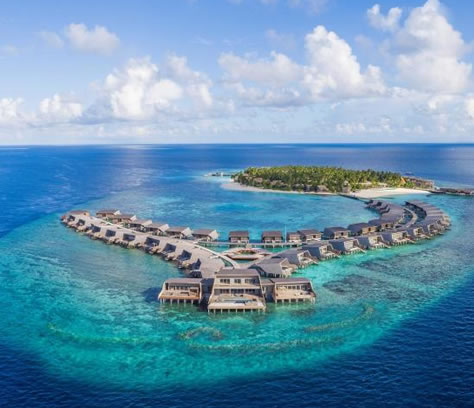 �R���������ι��ԣ������ϵ��ߴ�ɺ�������w�ć���